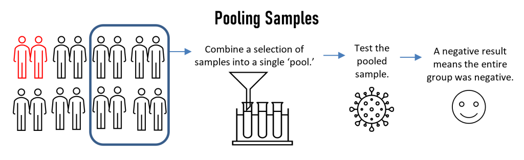 Sample pooling occurs when a lab mixes multiple samples together into a single batch (or “pooled sample”) to perform a single test on a group of samples, rather than test each individual sample. The underlying objective is simple: if the pooled sample tests negative, all of the constituent samples making up that batch are now known to be negative as well – with fewer tests needed to achieve the result. 
